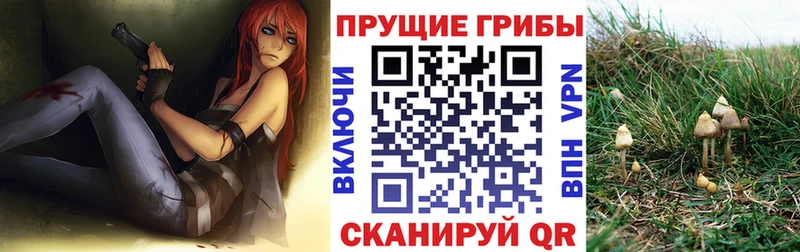 Псилоцибиновые грибы Magic Shrooms  это какой сайт  Ипатово  МЕГА ссылка 